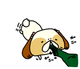 Shih Tzu 2 sticker #9309215