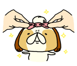 Shih Tzu 2 sticker #9309216