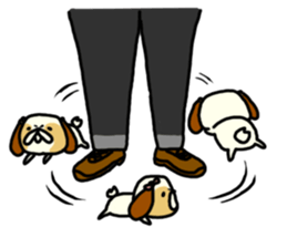 Shih Tzu 2 sticker #9309218