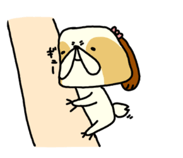 Shih Tzu 2 sticker #9309220