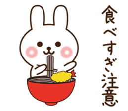 Happy new year rabbit 2017 sticker #9309982