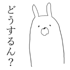 kansai rabbits<2>