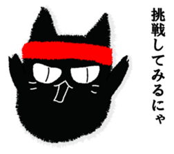 A black cat will answer 3. sticker #9314698