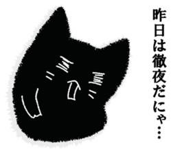 A black cat will answer 3. sticker #9314712