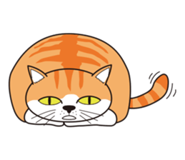 It's my cat sticker #9314968