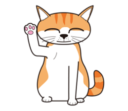 It's my cat sticker #9314971