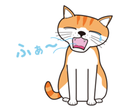 It's my cat sticker #9314973