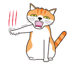 It's my cat sticker #9314974