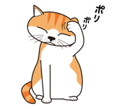 It's my cat sticker #9314976