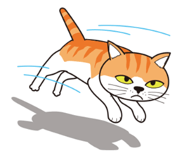 It's my cat sticker #9314980