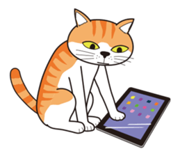 It's my cat sticker #9314981