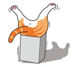 It's my cat sticker #9314982