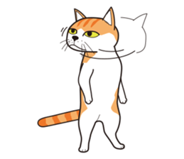 It's my cat sticker #9314985