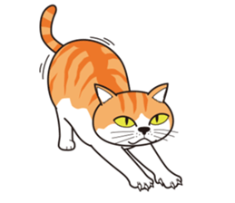 It's my cat sticker #9314987