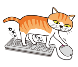 It's my cat sticker #9315002