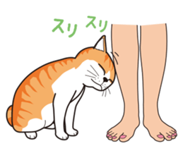 It's my cat sticker #9315003