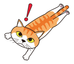 It's my cat sticker #9315005