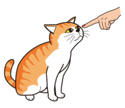 It's my cat sticker #9315007