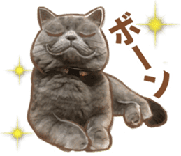 Daily life cat Sticker sticker #9318175