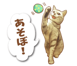 Daily life cat Sticker sticker #9318201