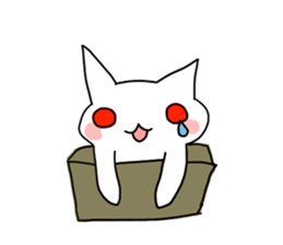 white cat Albino sticker #9318562