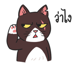 Kao homeless cat sticker #9320973