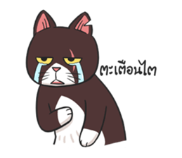 Kao homeless cat sticker #9320992