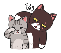 Kao homeless cat sticker #9321018