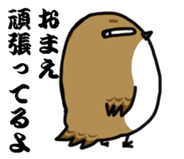 I am sparrow return. sticker #9321973