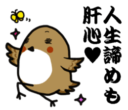 I am sparrow return. sticker #9321975