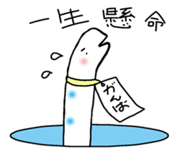 Chin Conger sticker #9325605