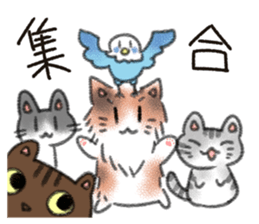 Cute calico and Friends sticker #9328045