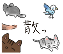 Cute calico and Friends sticker #9328046