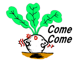 D-Radish sticker #9328130