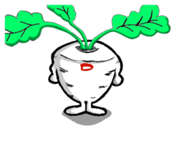 D-Radish sticker #9328140
