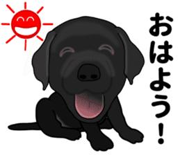 Everyday black Labrador sticker #9330728