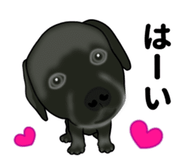 Everyday black Labrador sticker #9330729