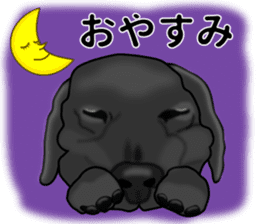 Everyday black Labrador sticker #9330733