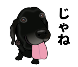 Everyday black Labrador sticker #9330734