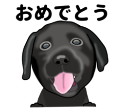 Everyday black Labrador sticker #9330736