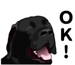 Everyday black Labrador sticker #9330737