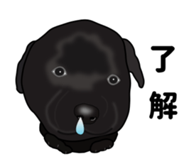 Everyday black Labrador sticker #9330738