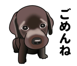 Everyday black Labrador sticker #9330740