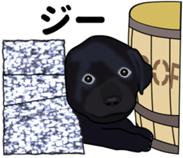 Everyday black Labrador sticker #9330741