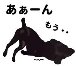 Everyday black Labrador sticker #9330744