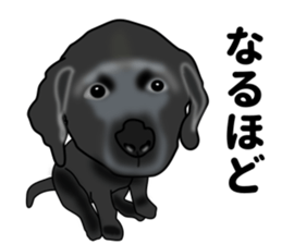 Everyday black Labrador sticker #9330745