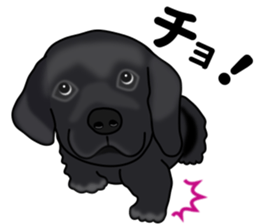 Everyday black Labrador sticker #9330746