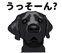 Everyday black Labrador sticker #9330747