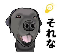 Everyday black Labrador sticker #9330748