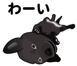 Everyday black Labrador sticker #9330750